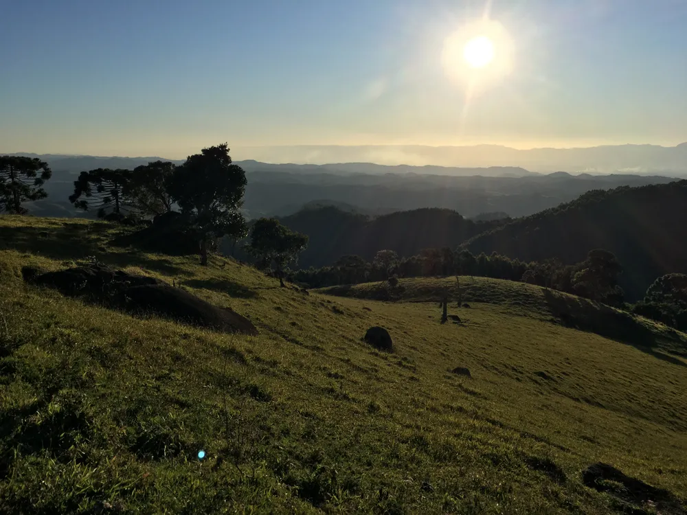 Fazenda, 97 hectares - Foto 3
