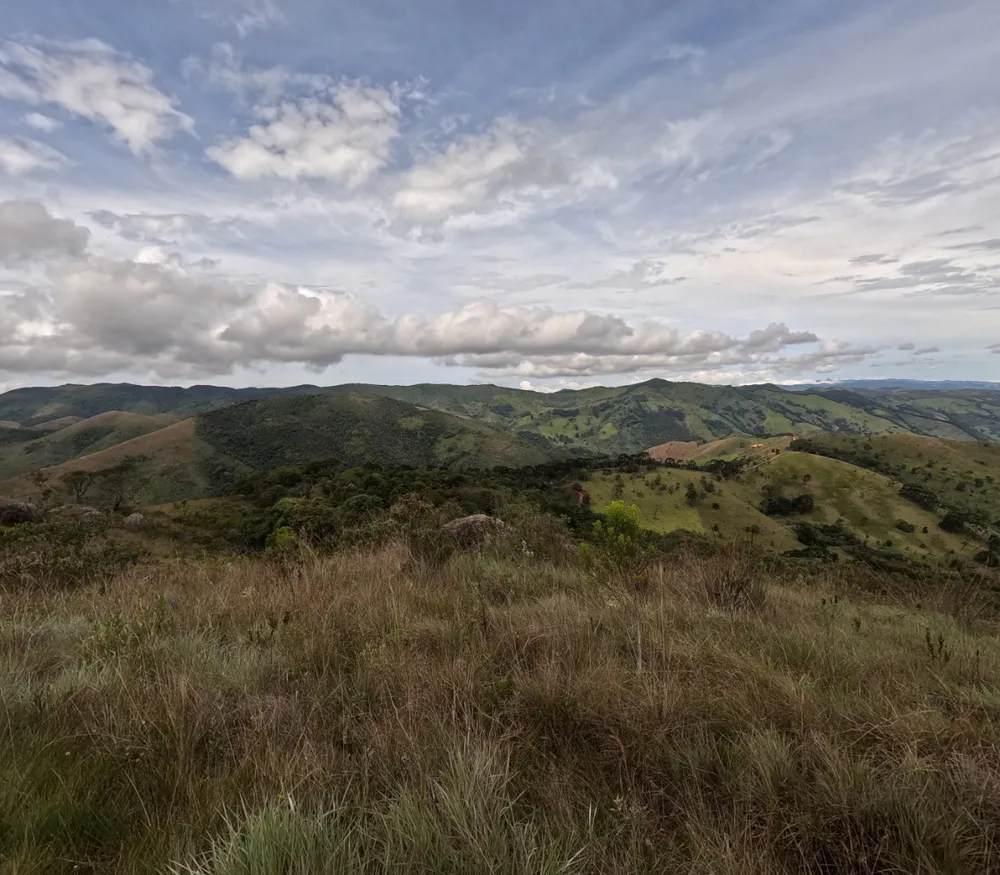 Fazenda, 97 hectares - Foto 4