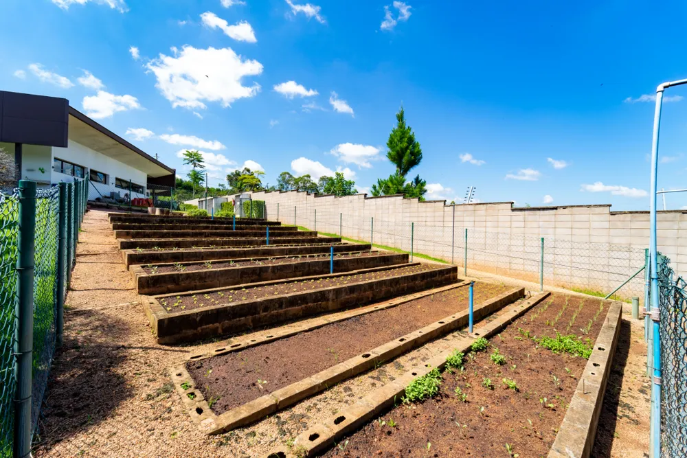 Terreno, 651 m² - Foto 2