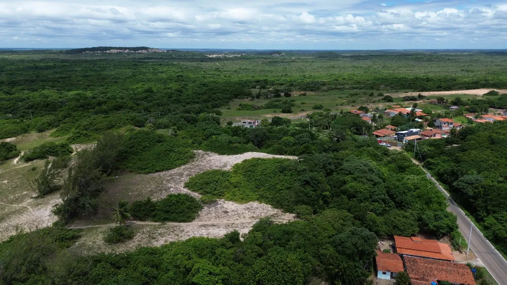 Terreno, 2 hectares - Foto 3