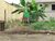 Terreno, 300 m² - Foto 2