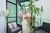Apartamento, 3 quartos, 230 m² - Foto 6