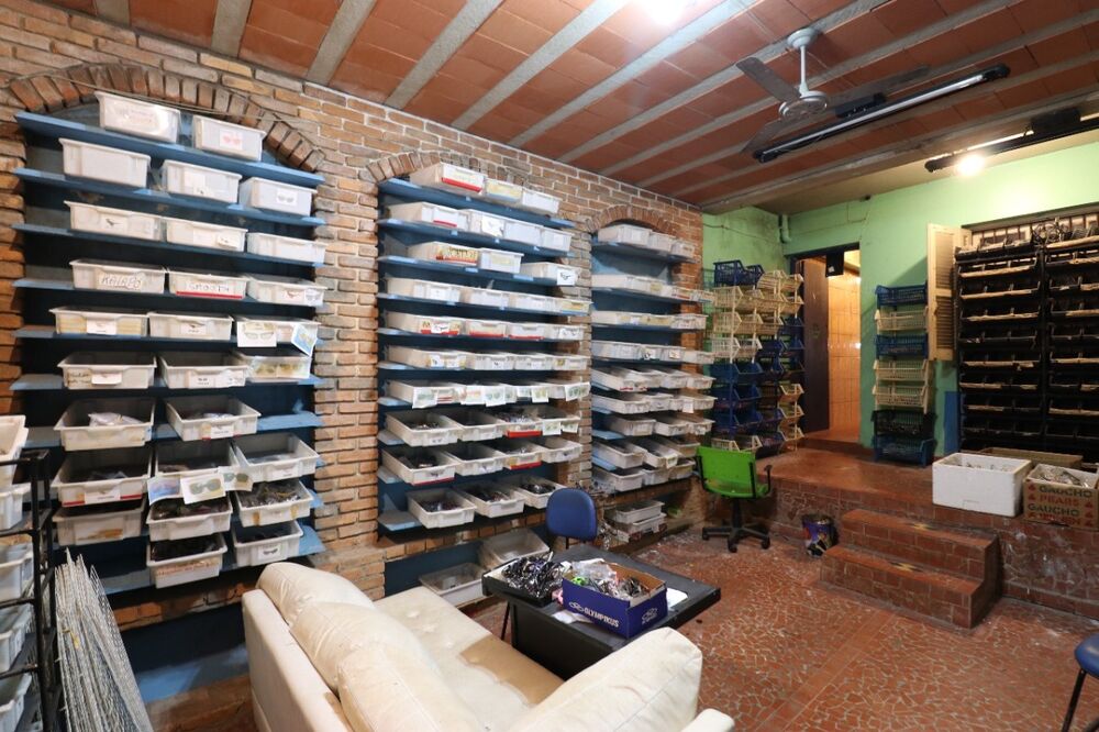 Casa, 8 quartos, 500 m² - Foto 19