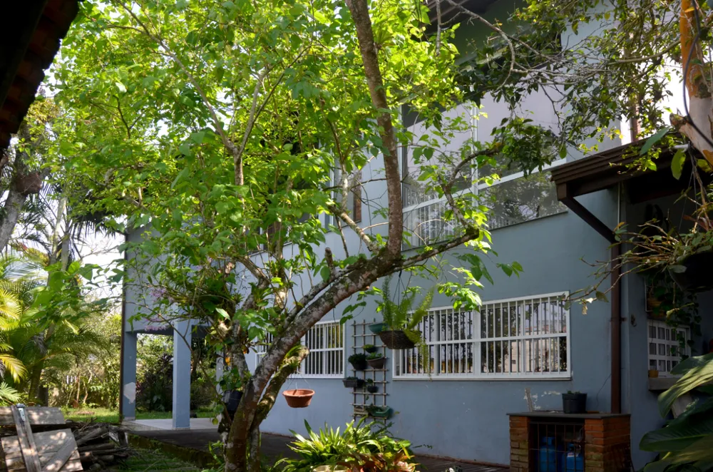 Casa, 5 quartos, 229 m² - Foto 4