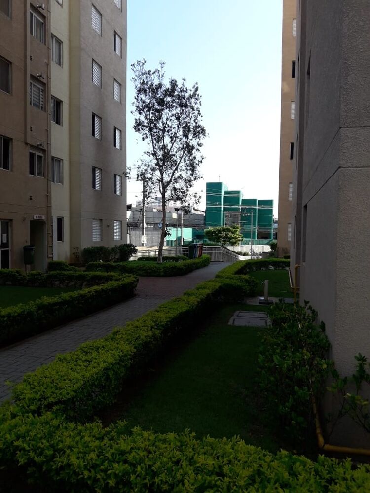 Apartamento, 3 quartos, 60 m² - Foto 16