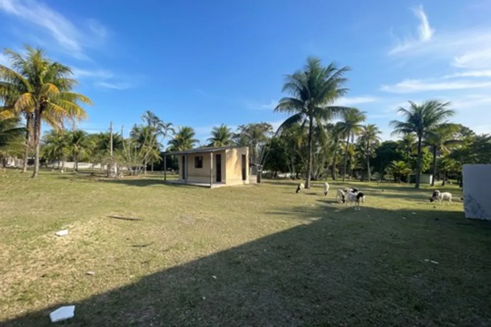 Terreno, 1 hectares - Foto 4