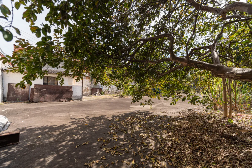 Terreno, 800 m² - Foto 3