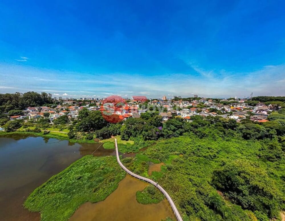 Casa, 4 quartos, 560 m² - Foto 9