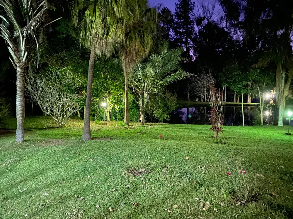 Terreno, 9 hectares - Foto 3