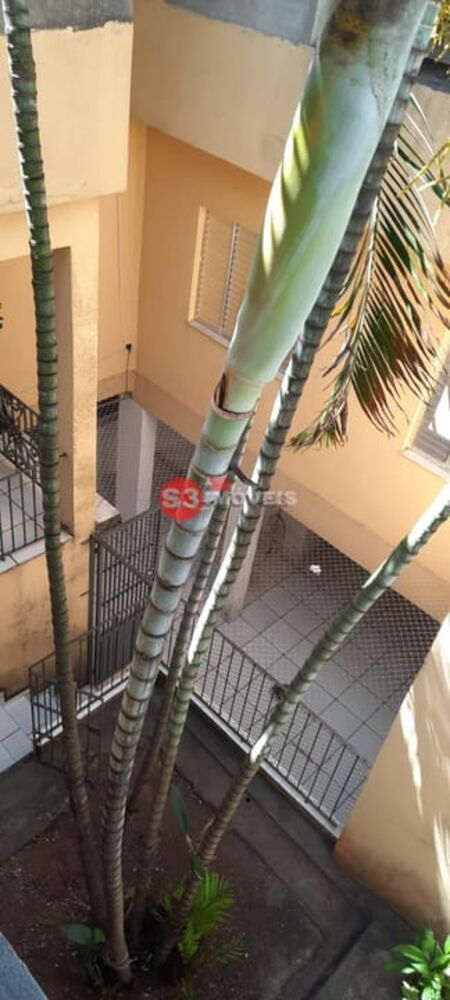 Casa, 3 quartos, 180 m² - Foto 4