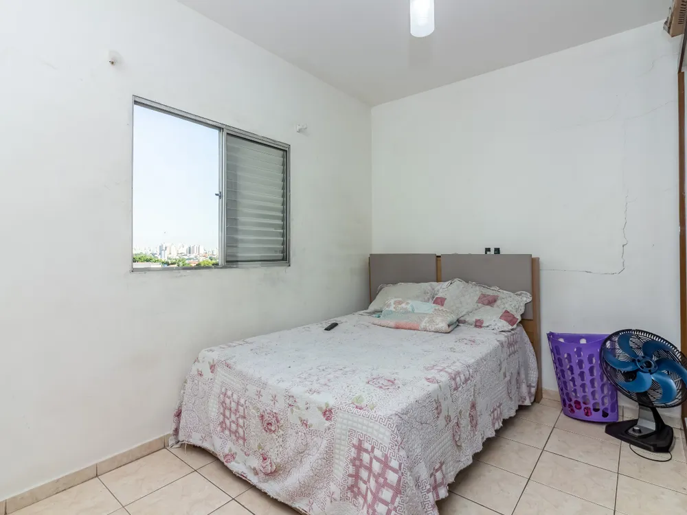 Casa, 3 quartos, 722 m² - Foto 3