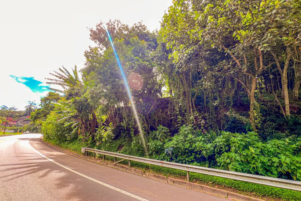 Loteamento e Condomínio, 700 m² - Foto 3