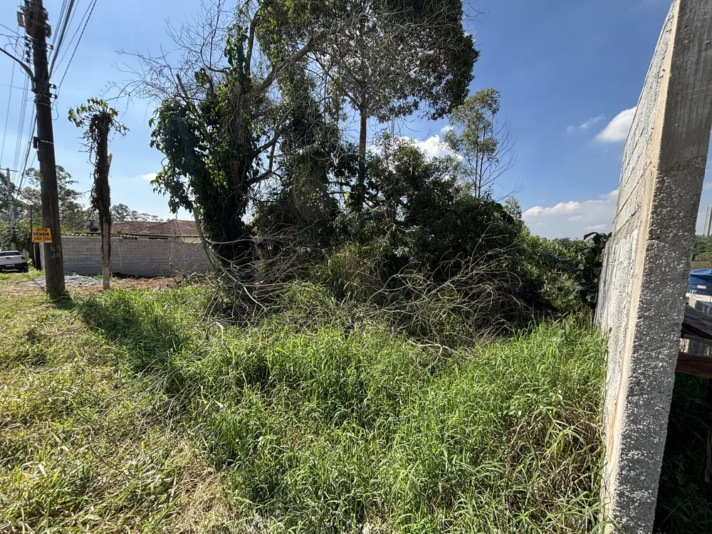 Terreno, 504 m² - Foto 3