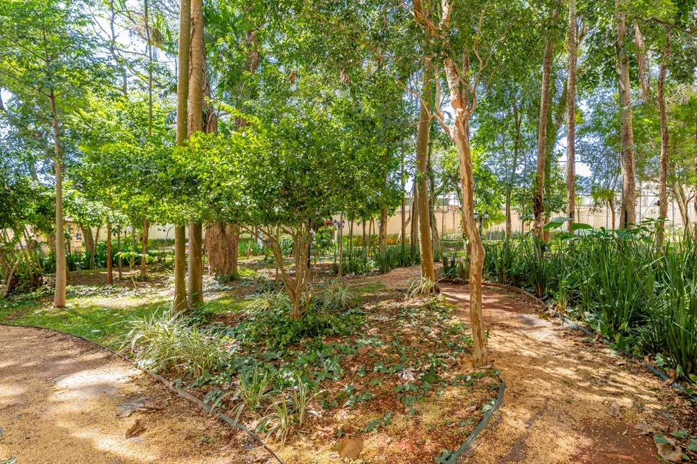 Apartamento, 2 quartos, 66 m² - Foto 4