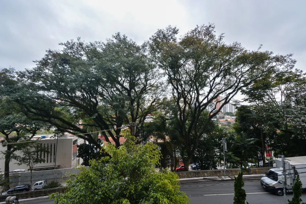 Apartamento, 3 quartos, 231 m² - Foto 4