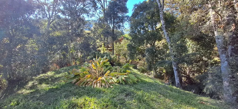 Chácara, 4545 m² - Foto 4