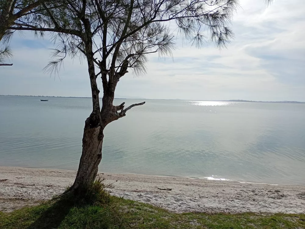 Terreno, 600 m² - Foto 16