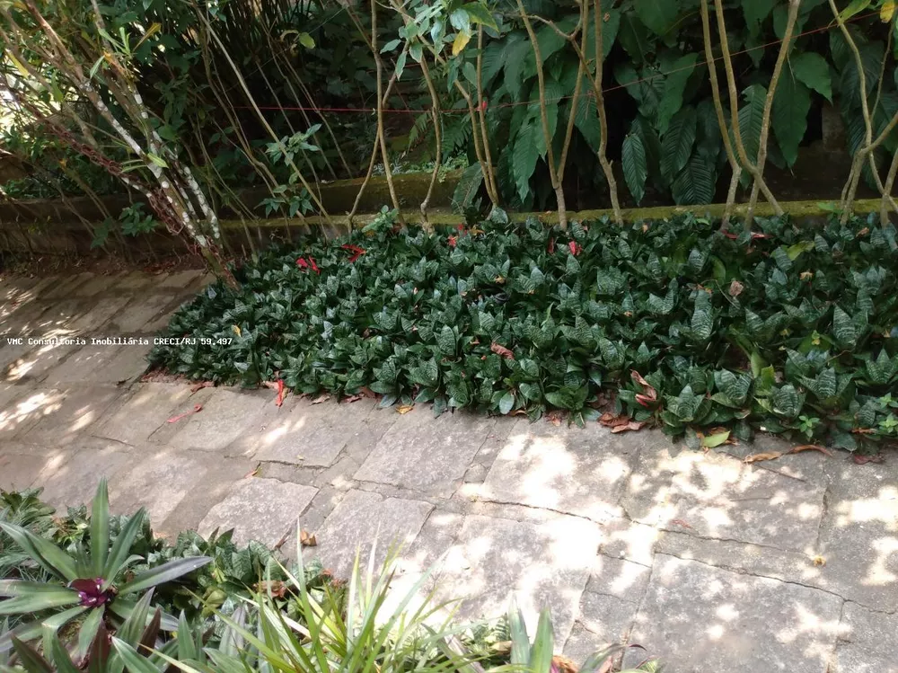 Casa, 4 quartos, 250 m² - Foto 3