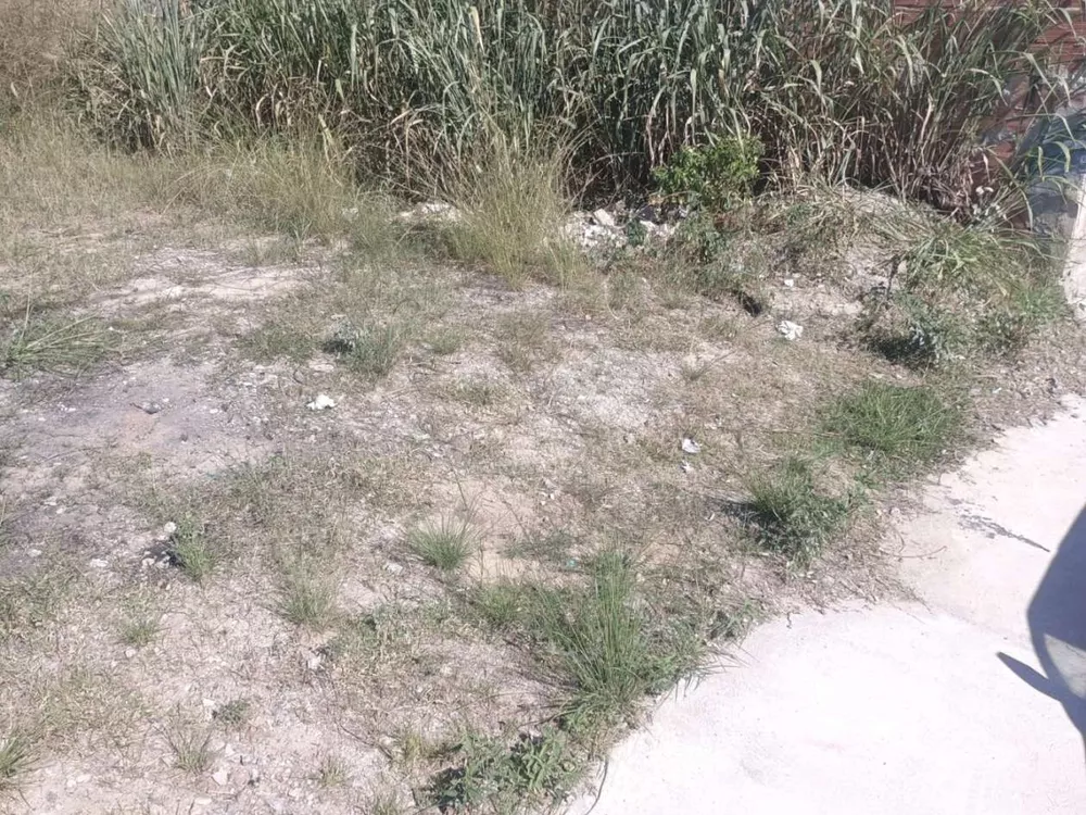 Terreno, 439 m² - Foto 10
