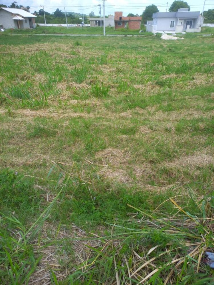Terreno, 13 hectares - Foto 2