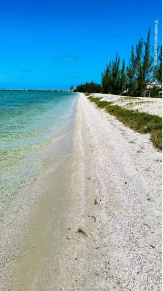 Casa, 1 quarto, 60 m² - Foto 20