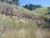 Terreno, 1080 m² - Foto 18