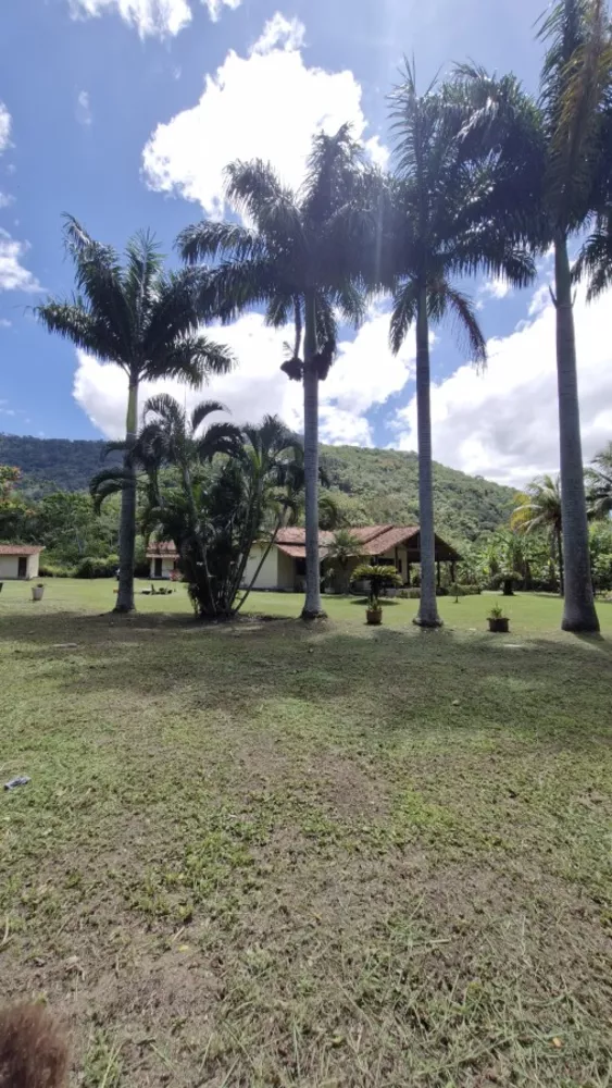 Chácara, 4 quartos, 4000 m² - Foto 3