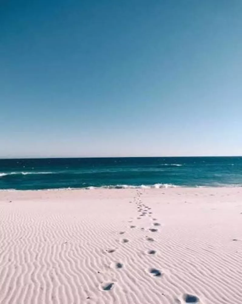 Terreno, 800 m² - Foto 8