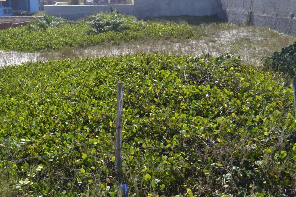 Terreno, 800 m² - Foto 19