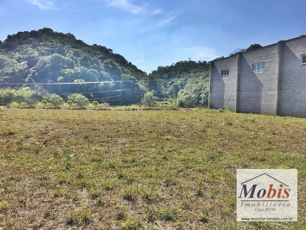 Depósito-Galpão, 3600 m² - Foto 8