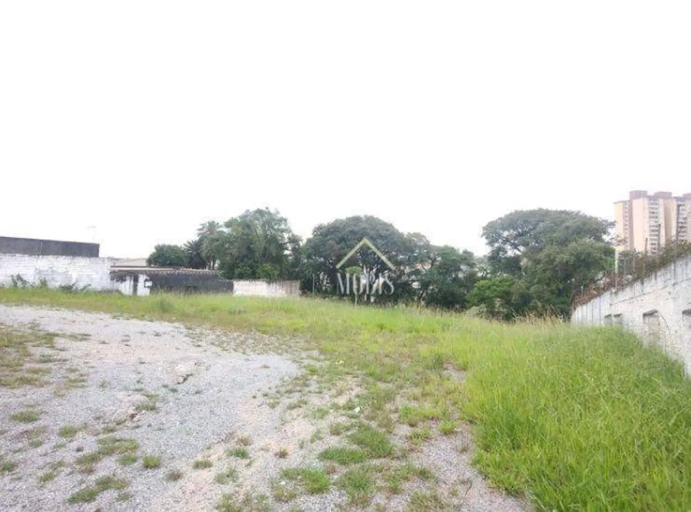 Terreno, 4351 m² - Foto 7