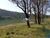 Terreno, 2300 m² - Foto 4