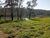 Terreno, 2300 m² - Foto 5