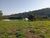 Terreno, 2300 m² - Foto 3