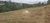 Terreno, 2 hectares - Foto 2