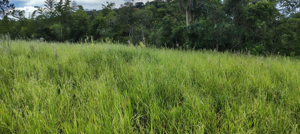 Terreno, 1018 m² - Foto 6