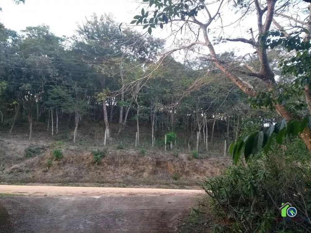 Fazenda, 4 quartos - Foto 12