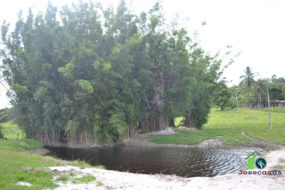 Fazenda, 4 quartos - Foto 10