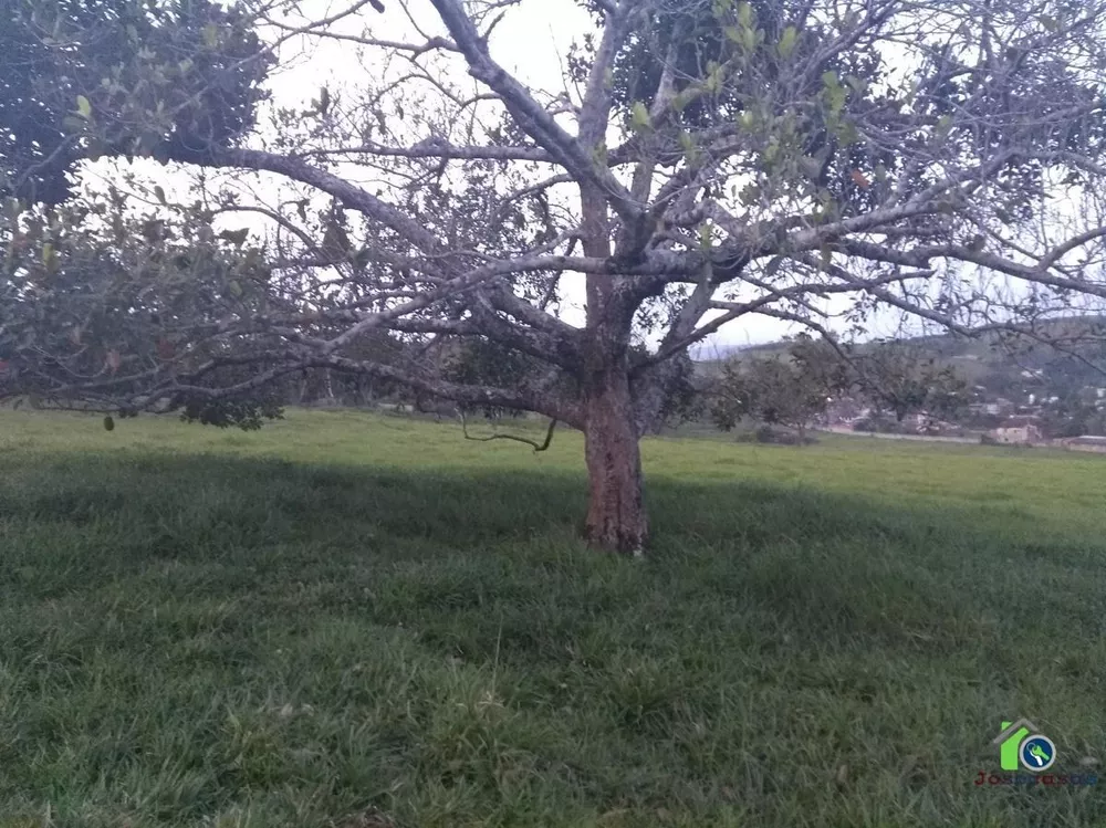 Fazenda, 4 quartos - Foto 36