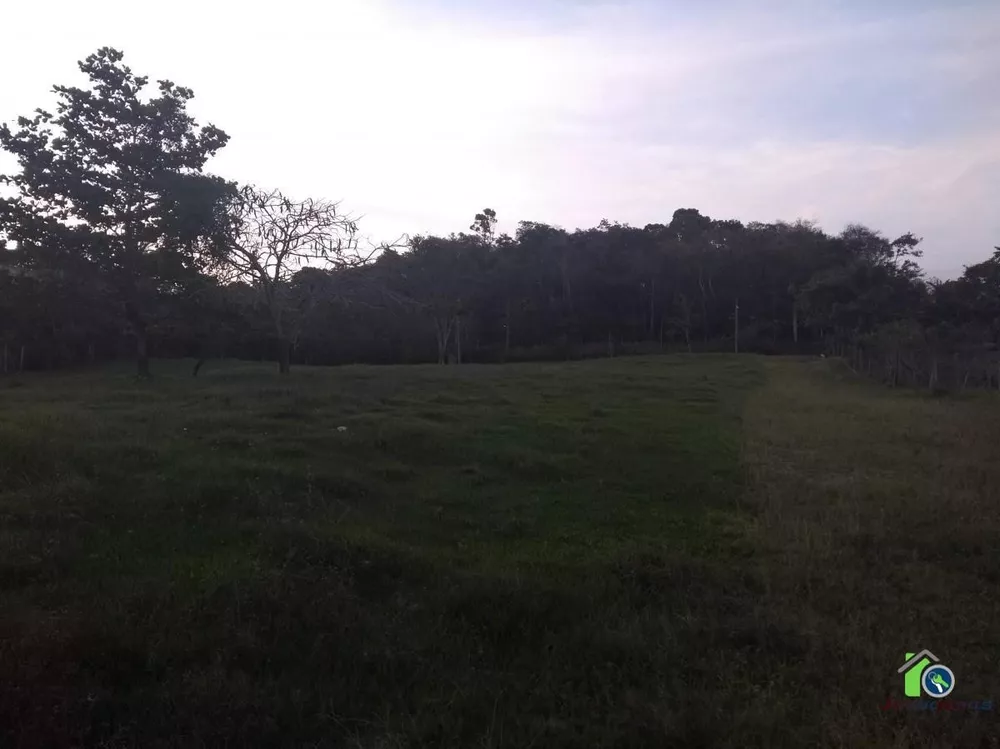 Fazenda, 4 quartos - Foto 29