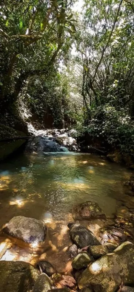 Terreno, 450 m² - Foto 38