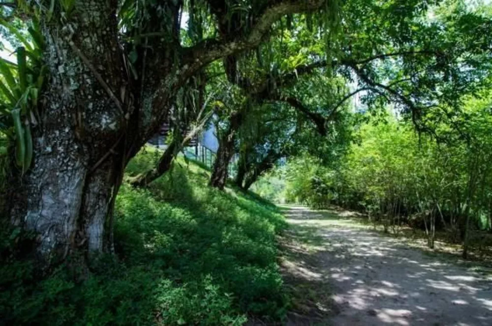 Terreno, 450 m² - Foto 37