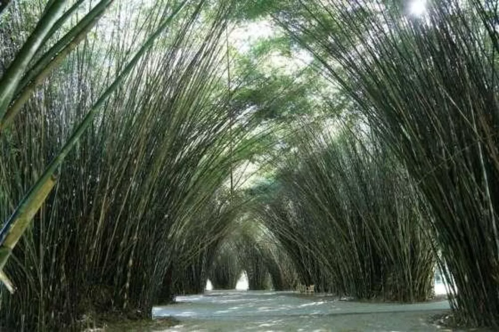 Terreno, 450 m² - Foto 20