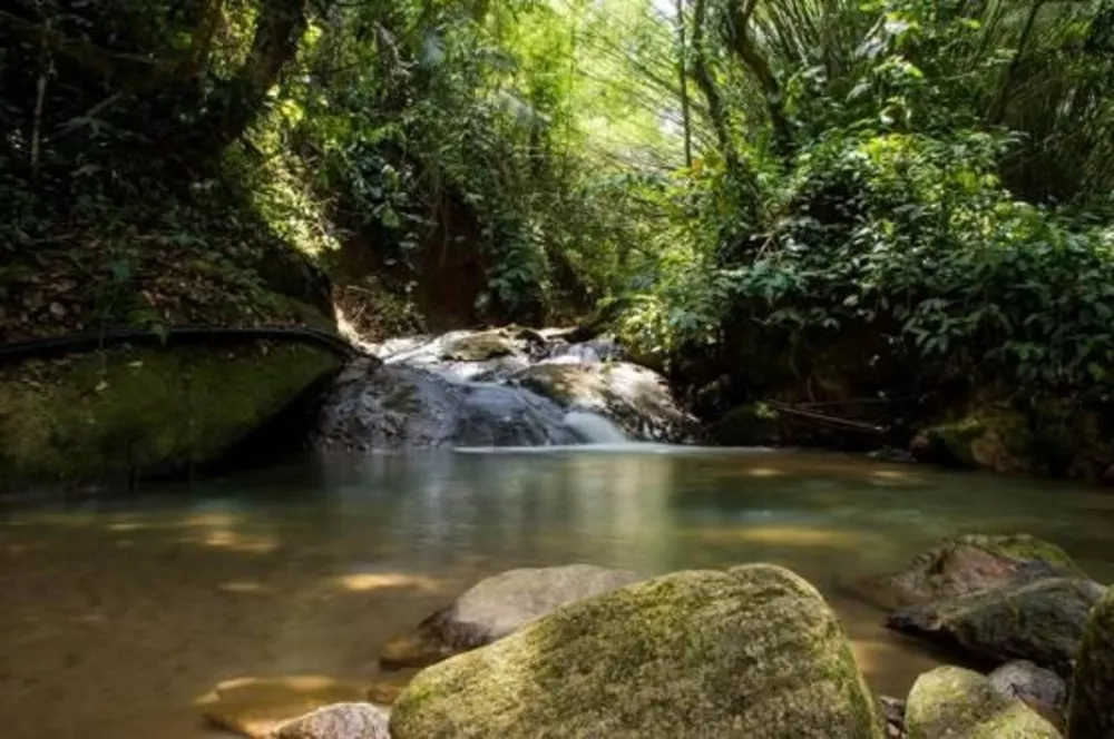 Terreno, 450 m² - Foto 36