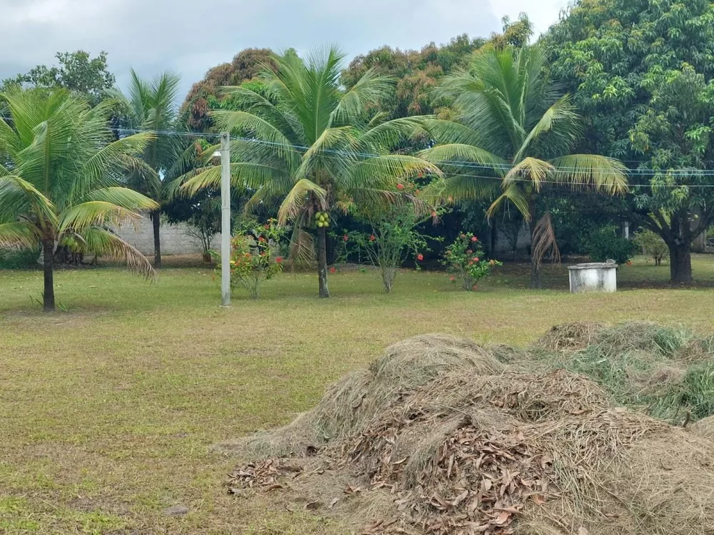 Fazenda à venda com 3 quartos, 200m² - Foto 4