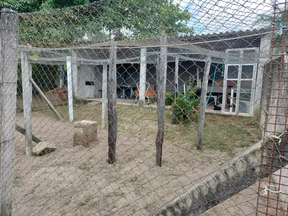 Sítio, 3 quartos, 200 m² - Foto 19