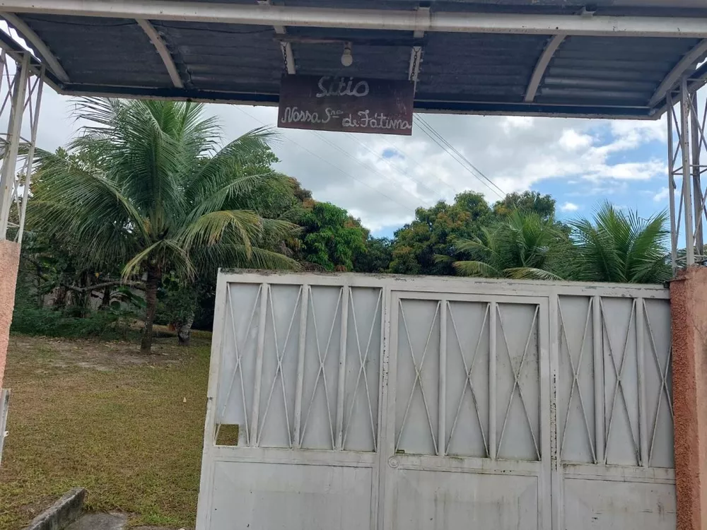 Sítio, 3 quartos, 200 m² - Foto 41