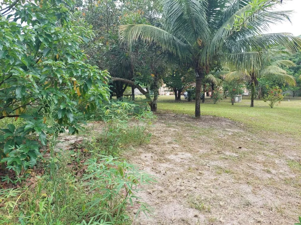 Sítio, 3 quartos, 200 m² - Foto 11