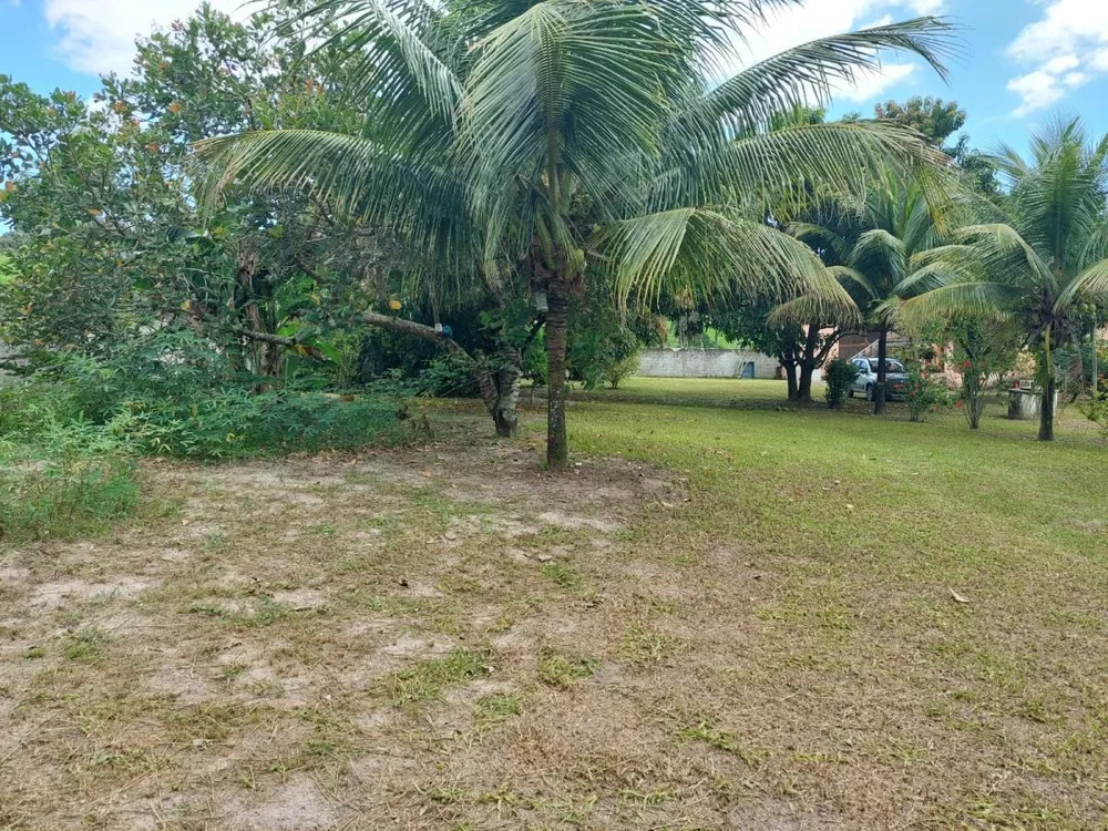 Sítio, 3 quartos, 200 m² - Foto 8