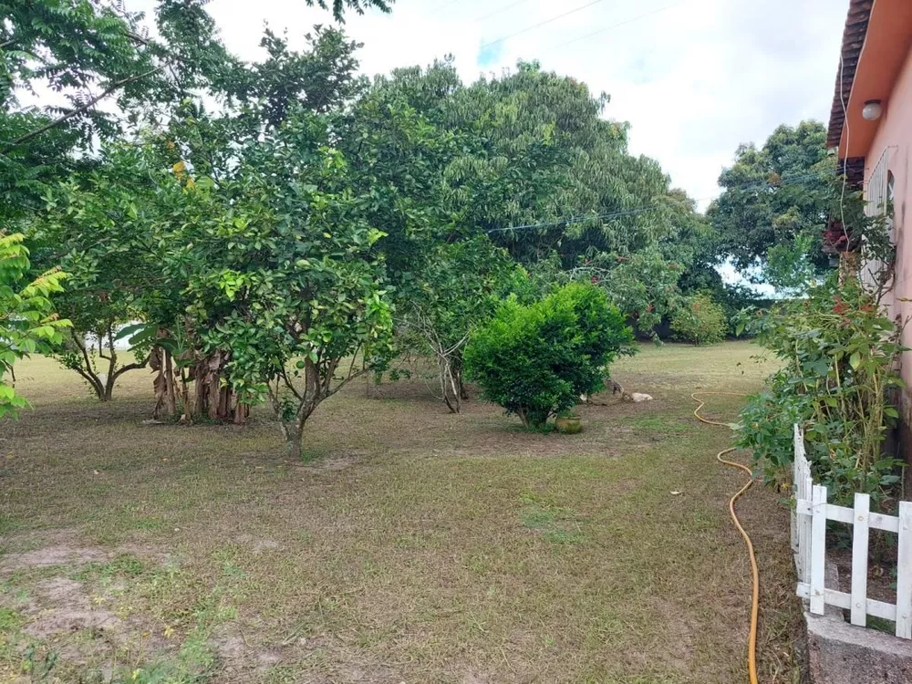 Sítio, 3 quartos, 200 m² - Foto 40